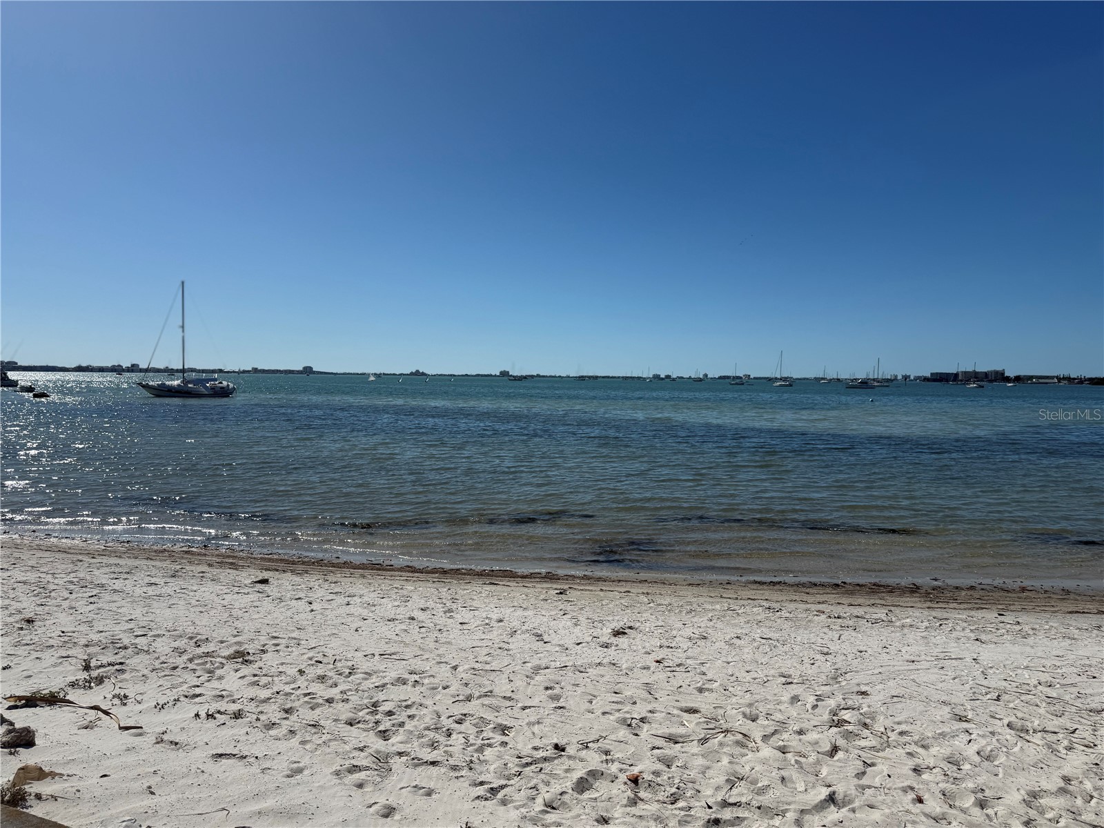 3735 42nd Way S #E Saint Petersburg FL 33711 - BOCA CIEGA BAY TB8436855 image39