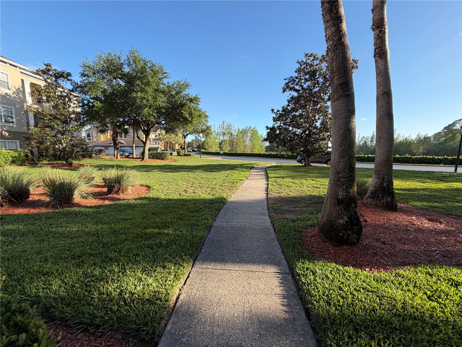 3735 Conroy Road #2222 Orlando FL 32839 O6399077 image41