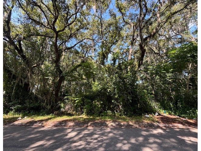 3735 E Adams Street Hernando FL 34442 J982904 image1