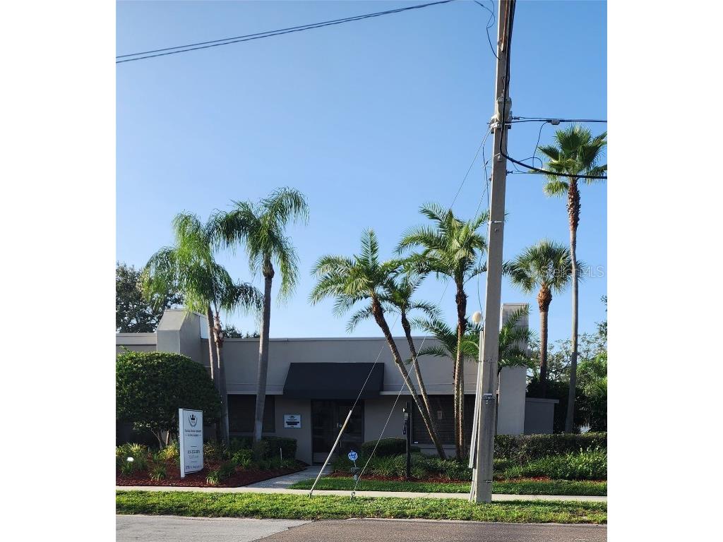 3735 W Neptune Street Tampa FL 33629 T3467628 image1