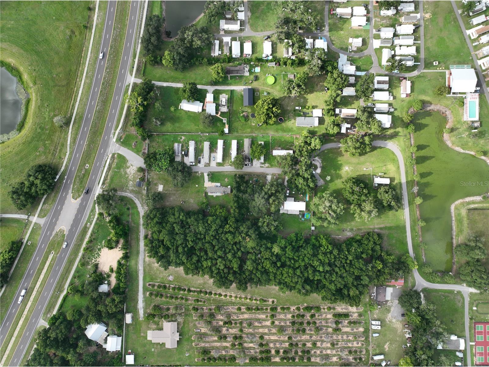 37351 Carringer Road Dade City FL 33523 G5115278 image11