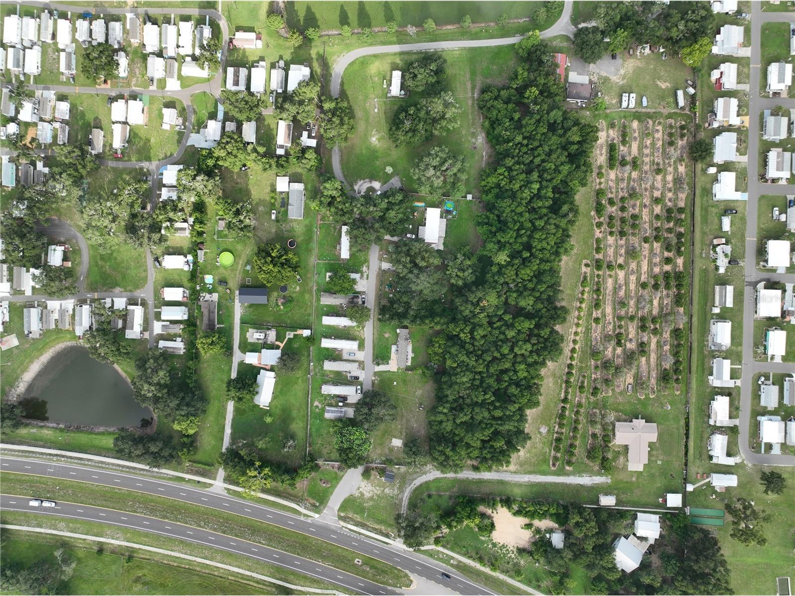 37351 Carringer Road Dade City FL 33523 G5115278 image12