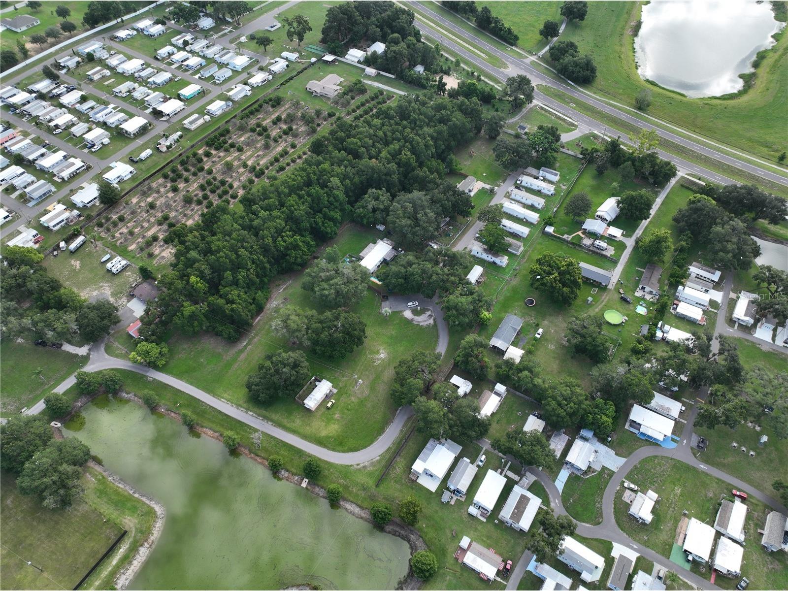 37351 Carringer Road Dade City FL 33523 G5115278 image25