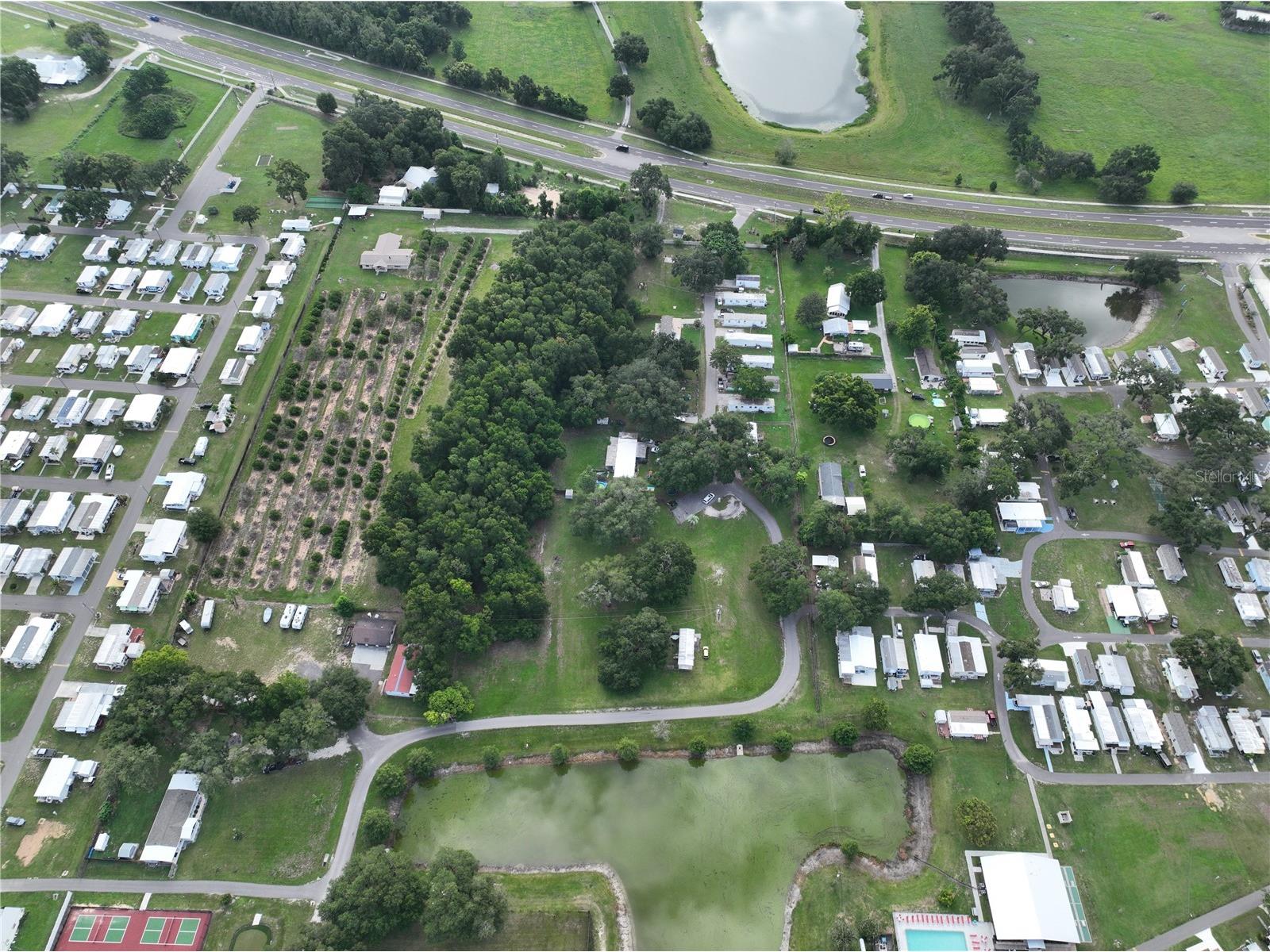 37351 Carringer Road Dade City FL 33523 G5115278 image27