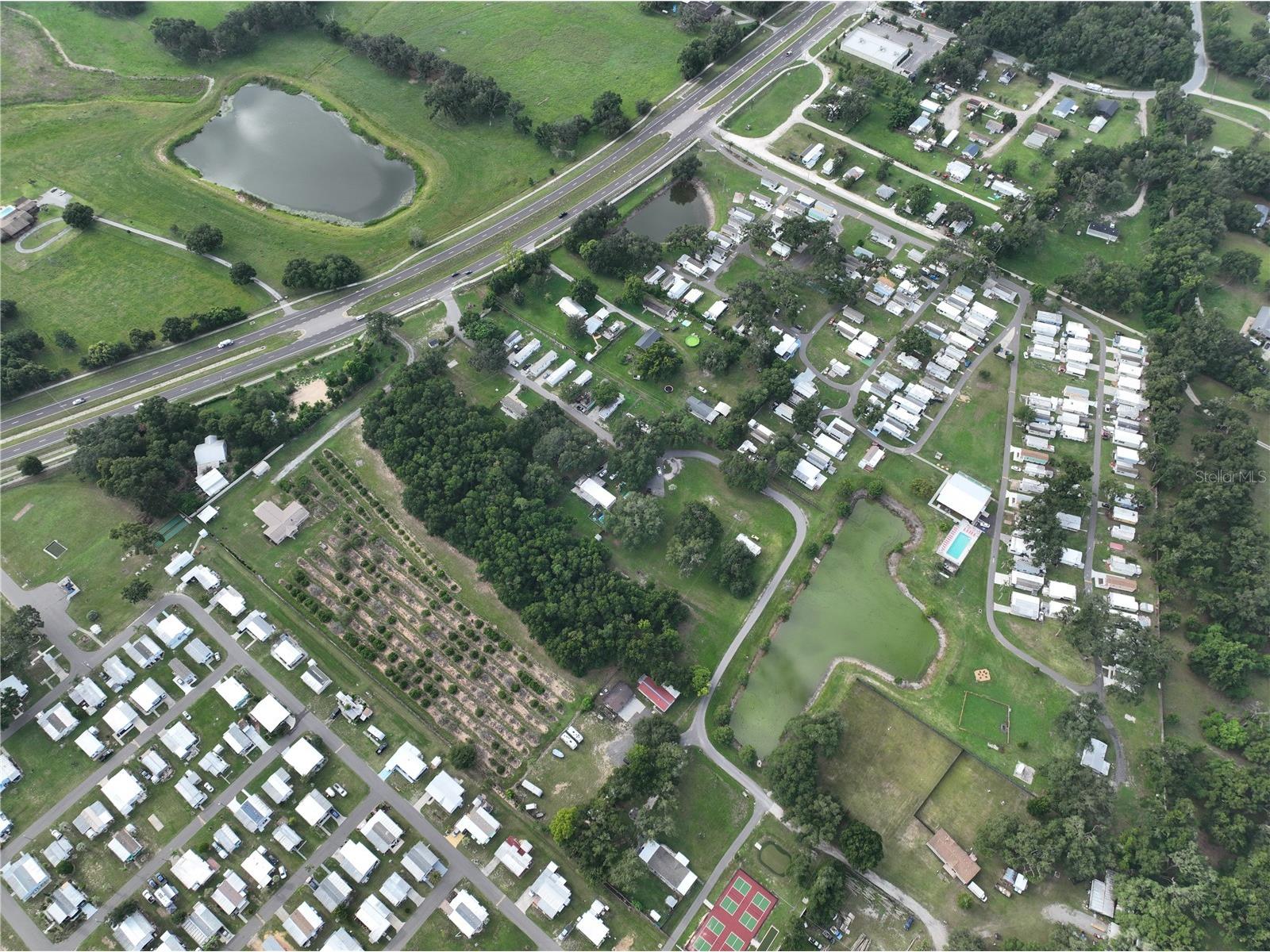 37351 Carringer Road Dade City FL 33523 G5115278 image33