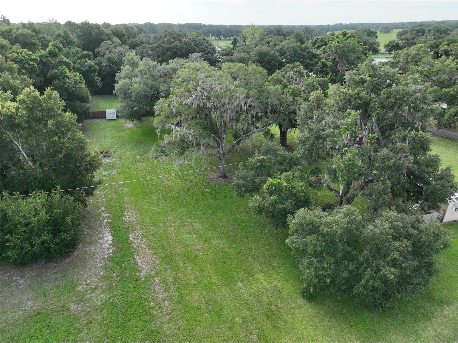 37351 Carringer Road Dade City FL 33523 G5115278 image9