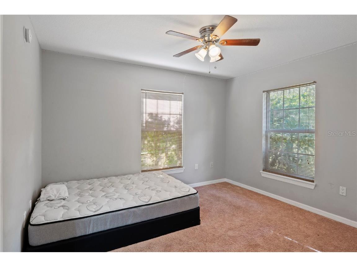 37351 Neighbors Path Zephyrhills FL 33542 TB8424531 image8