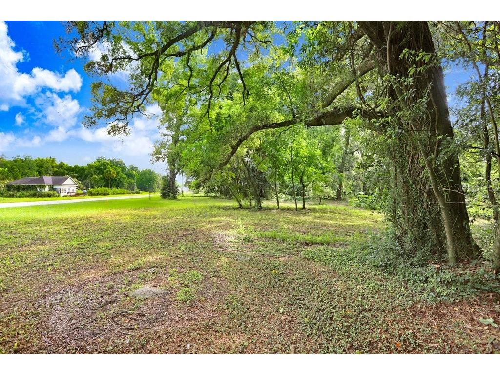 37352 ½ Trilby Road Dade City FL 33523 TB8486530 image10