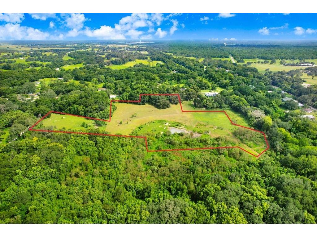 37352 ½ Trilby Road Dade City FL 33523 TB8486530 image15