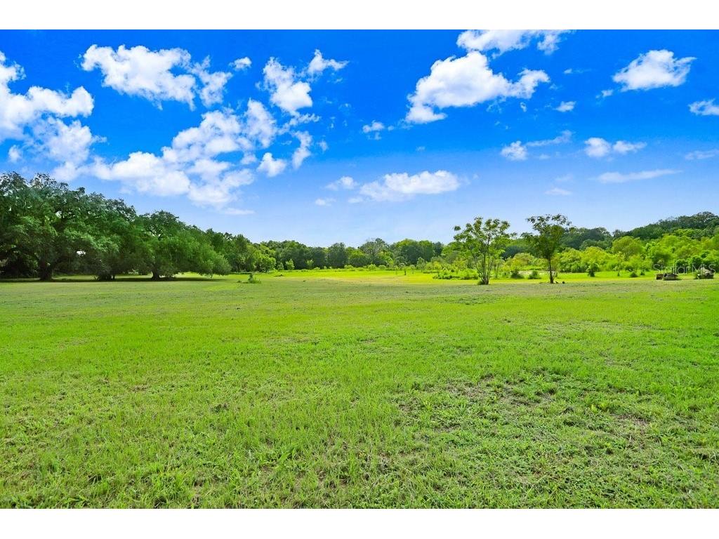 37352 ½ Trilby Road Dade City FL 33523 TB8486530 image2
