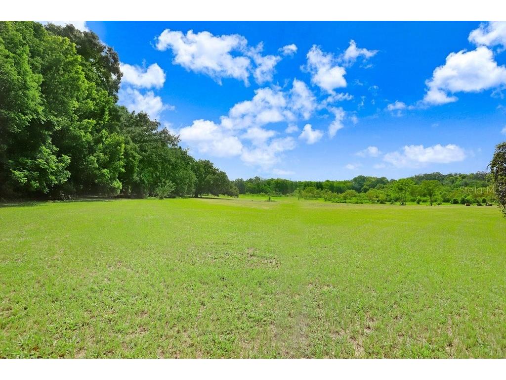 37352 ½ Trilby Road Dade City FL 33523 TB8486530 image3