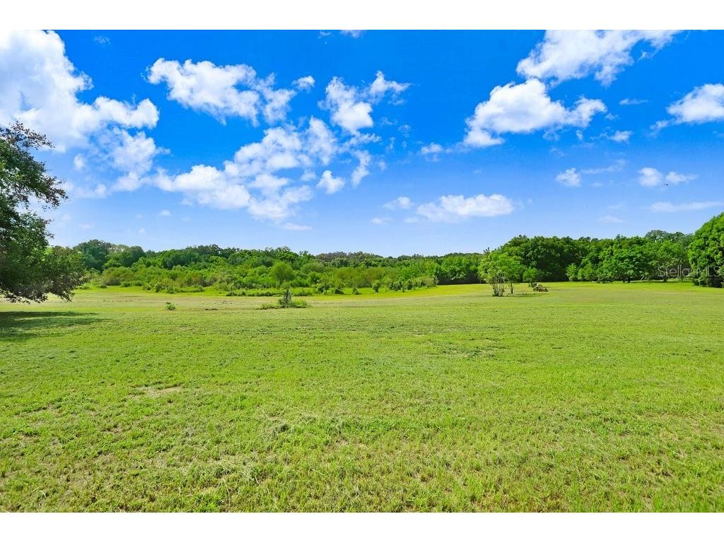 37352 ½ Trilby Road Dade City FL 33523 TB8486530 image4