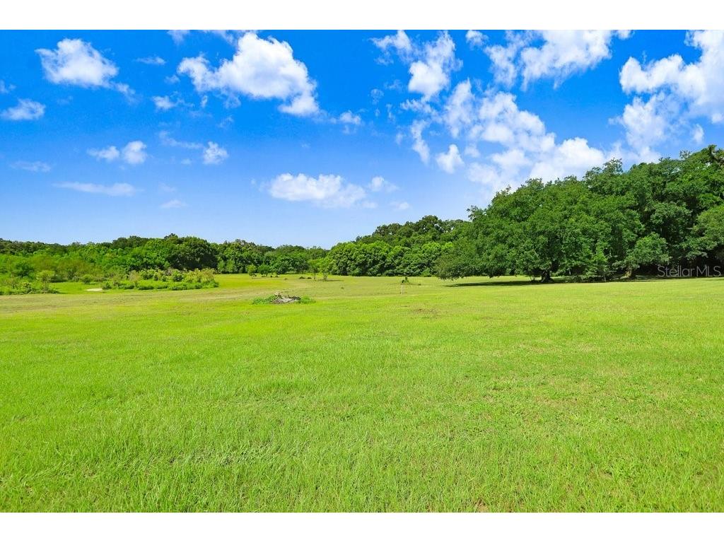 37352 ½ Trilby Road Dade City FL 33523 TB8486530 image5