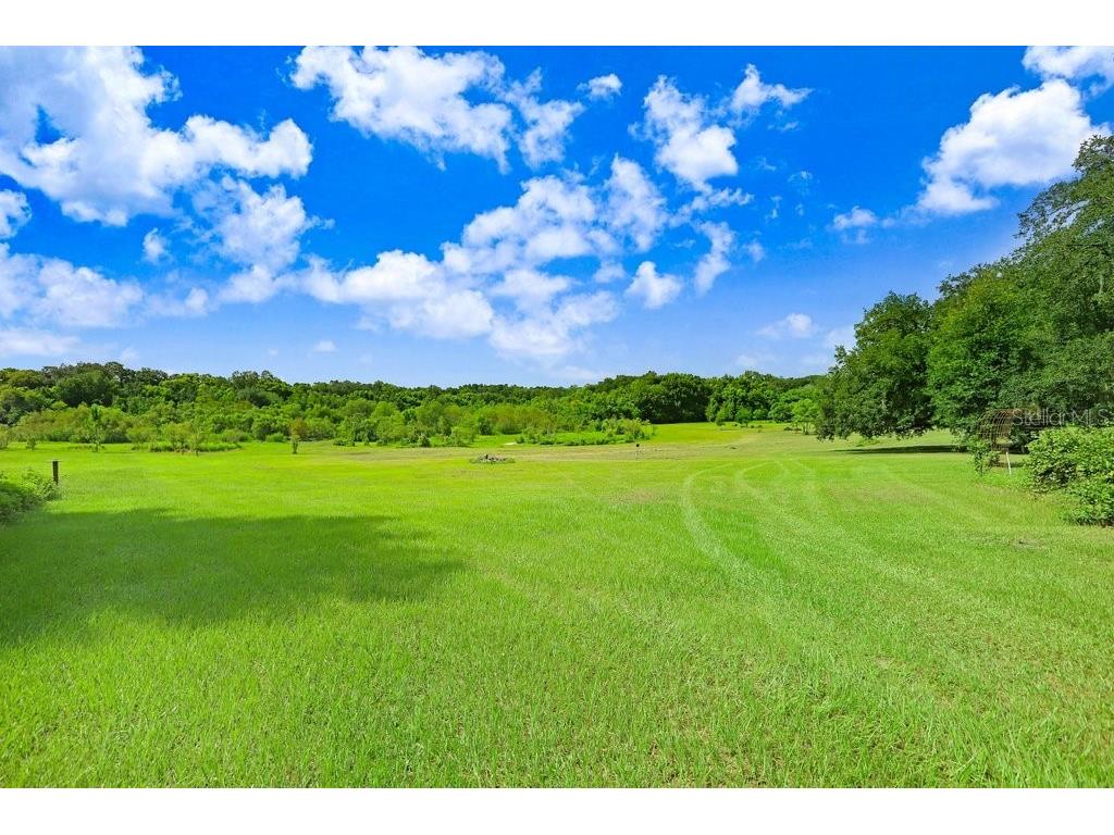 37352 ½ Trilby Road Dade City FL 33523 TB8486530 image6