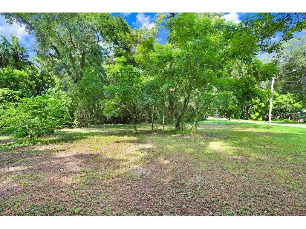 37352 ½ Trilby Road Dade City FL 33523 TB8486530 image7