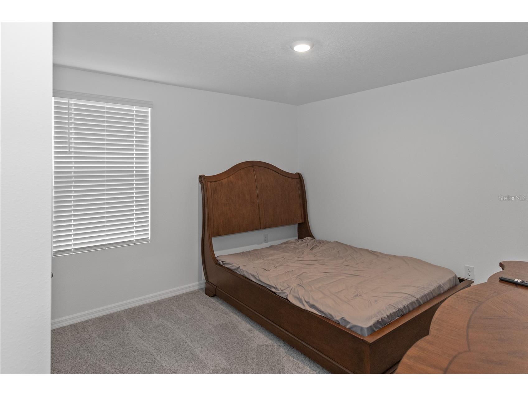 37357 Sharks Eye Lane Zephyrhills FL 33541 TB8468442 image5