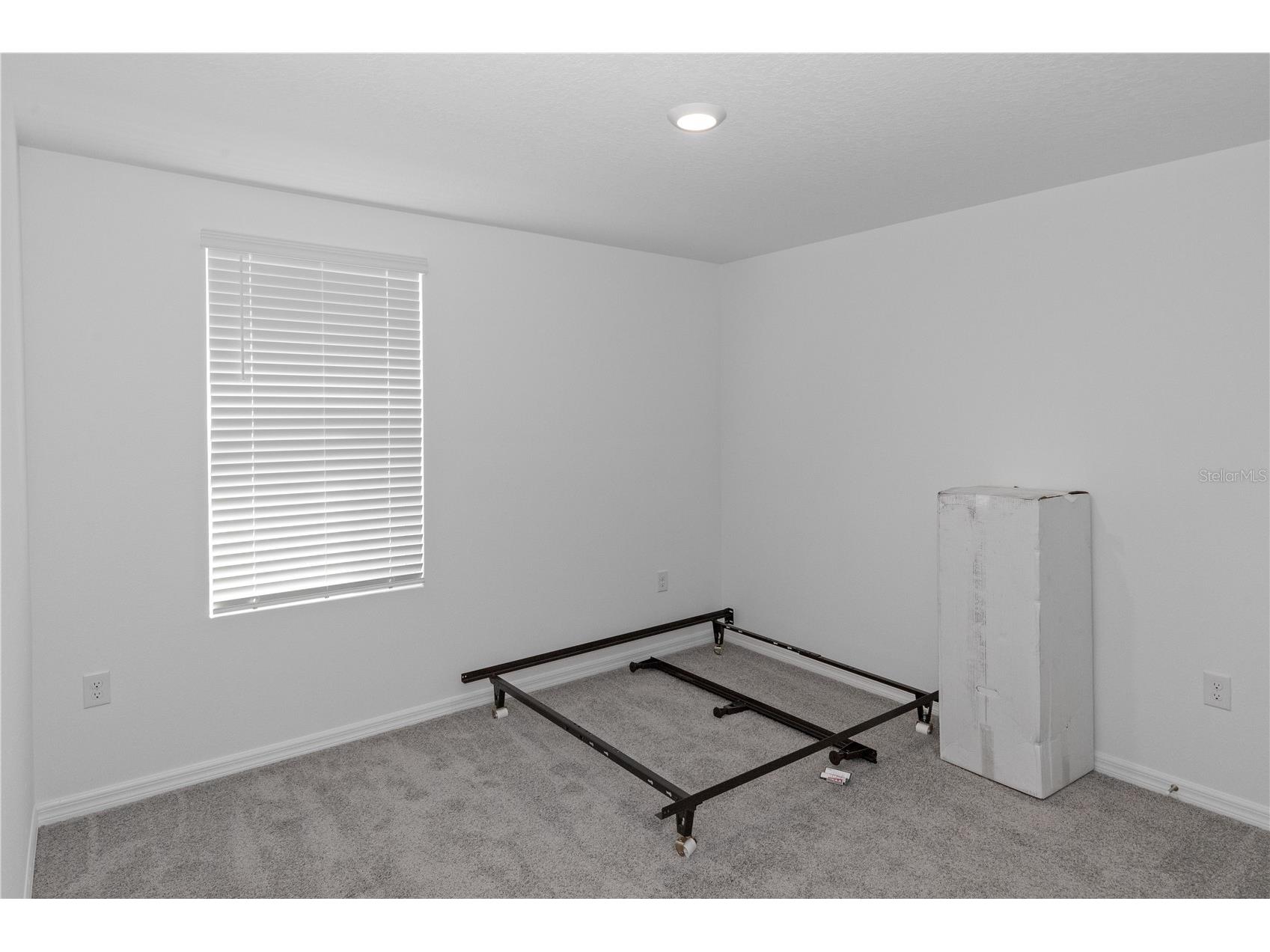 37357 Sharks Eye Lane Zephyrhills FL 33541 TB8468442 image6