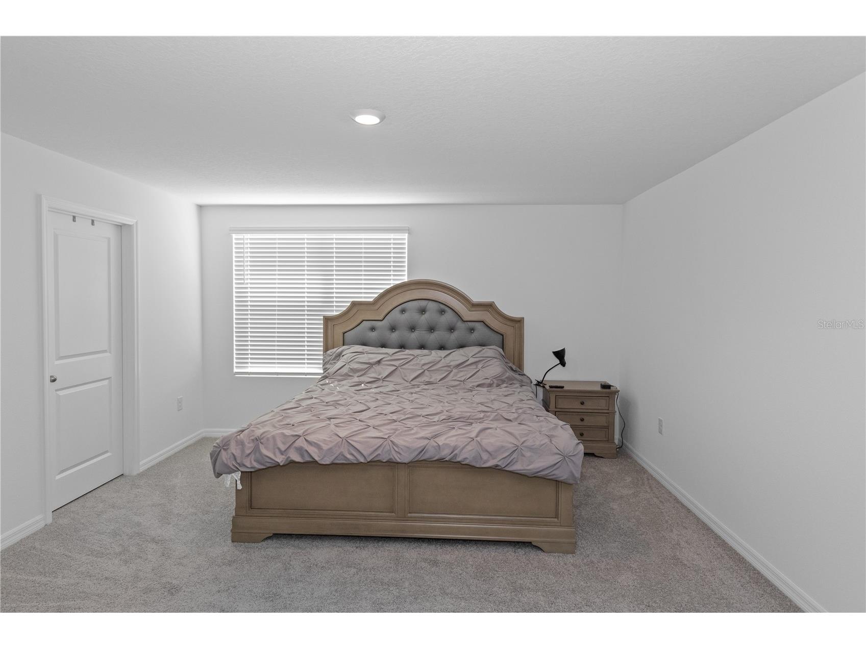 37357 Sharks Eye Lane Zephyrhills FL 33541 TB8468442 image7