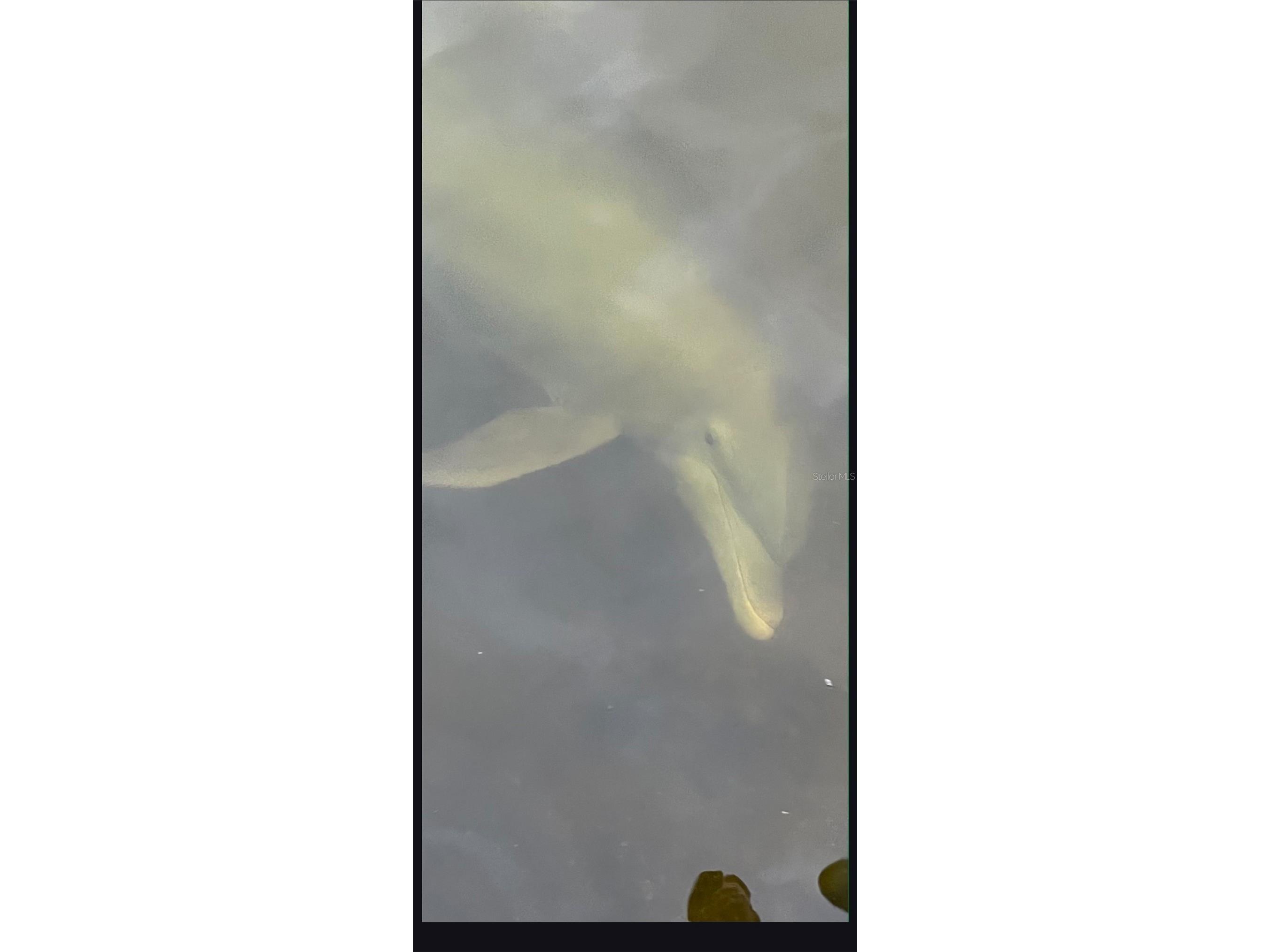 3736 Bal Harbor Boulevard Punta Gorda FL 33950 C7515231 image55