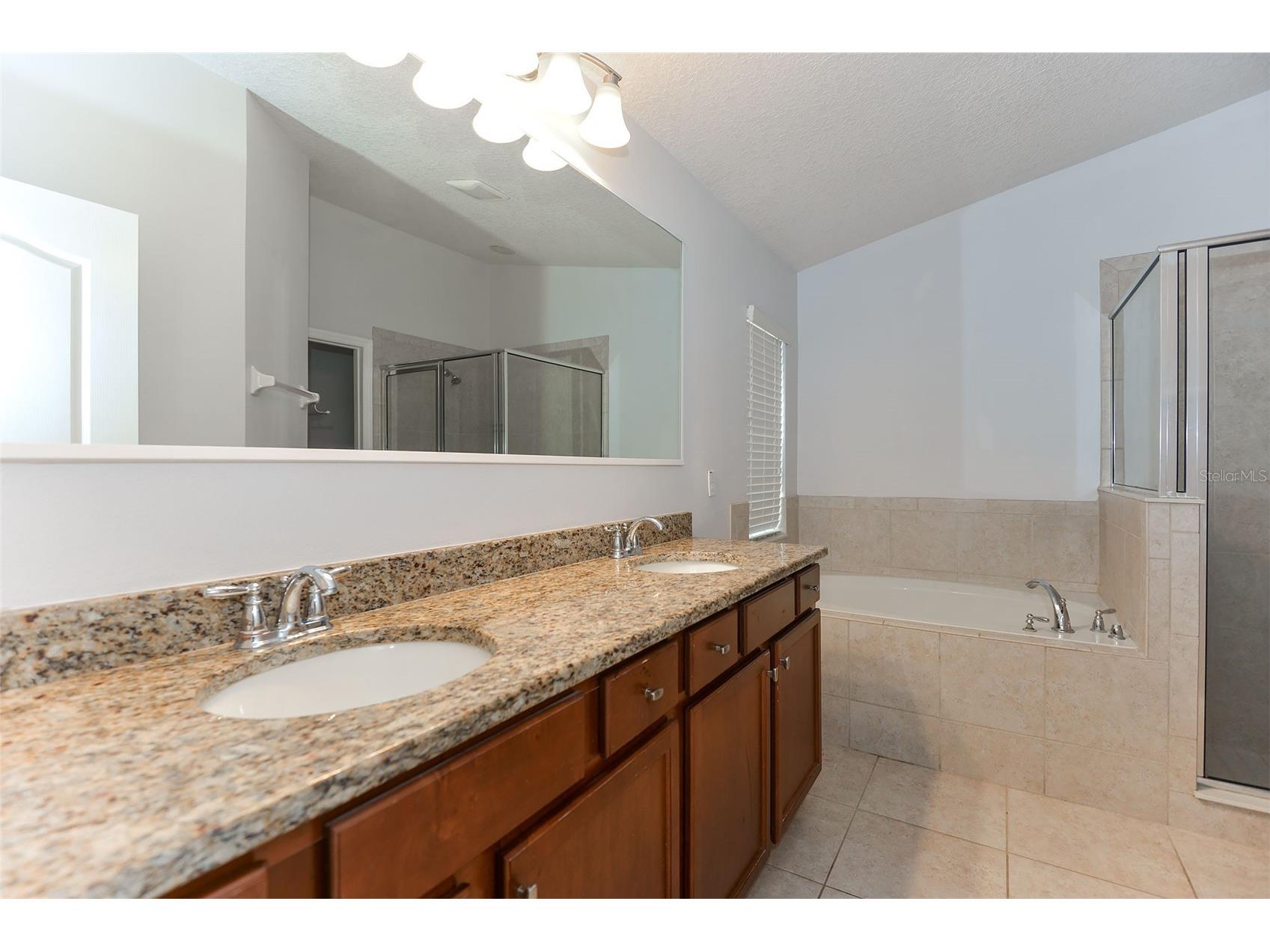 3736 Briar Run Drive Clermont FL 34711 O6396732 image11