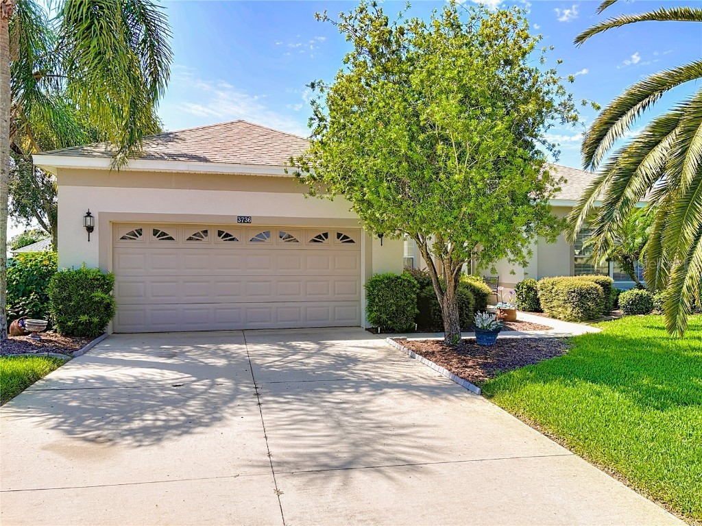 3736 Mulberry Grove Loop Leesburg FL 34748 O6339733 image1