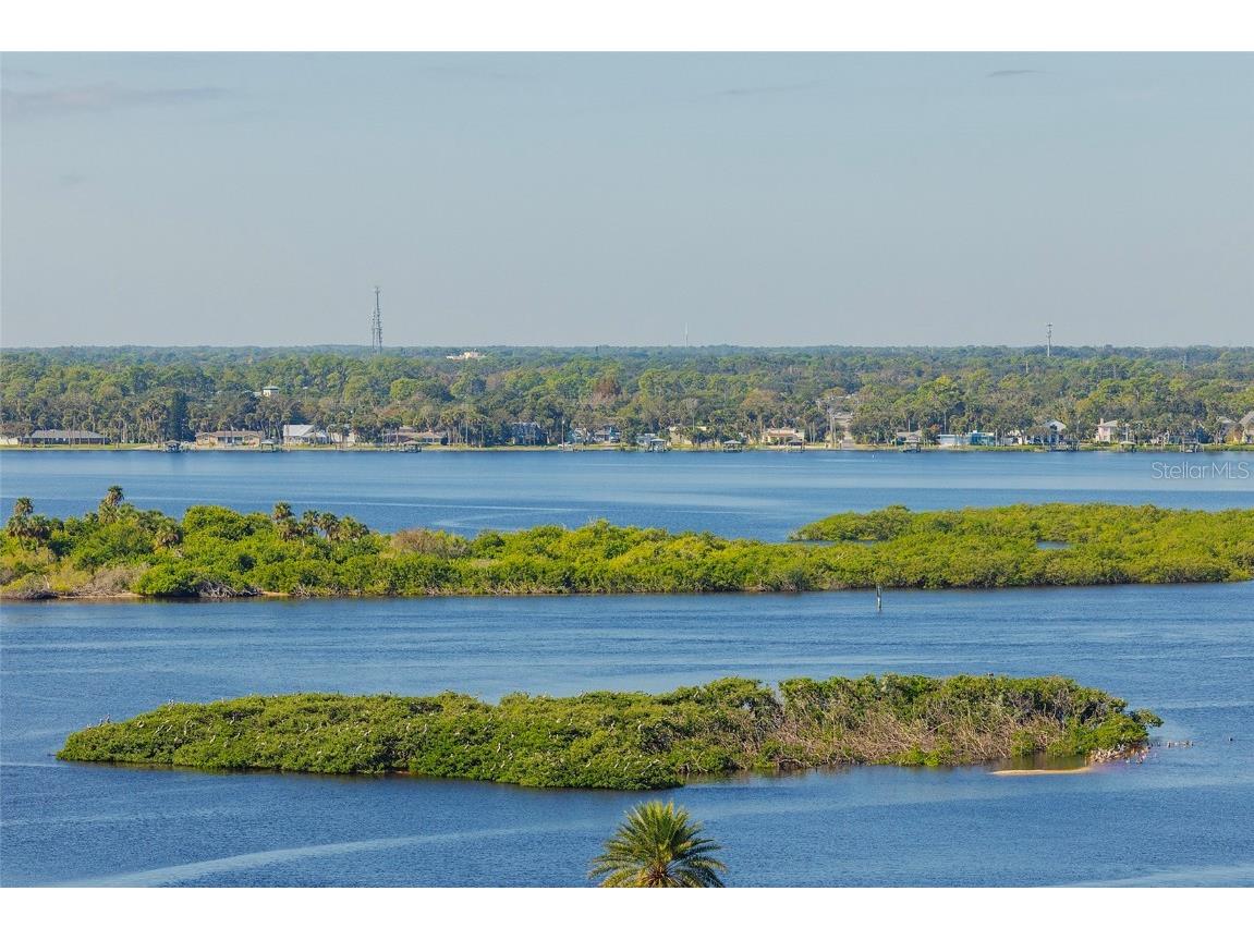 3737 S Atlantic Avenue #1004 Daytona Beach FL 32118 NS1086727 image22