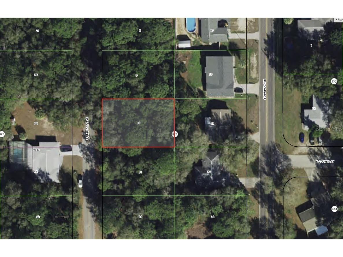 3737 S Diamond Avenue Inverness FL 34452 TB8405682 image1