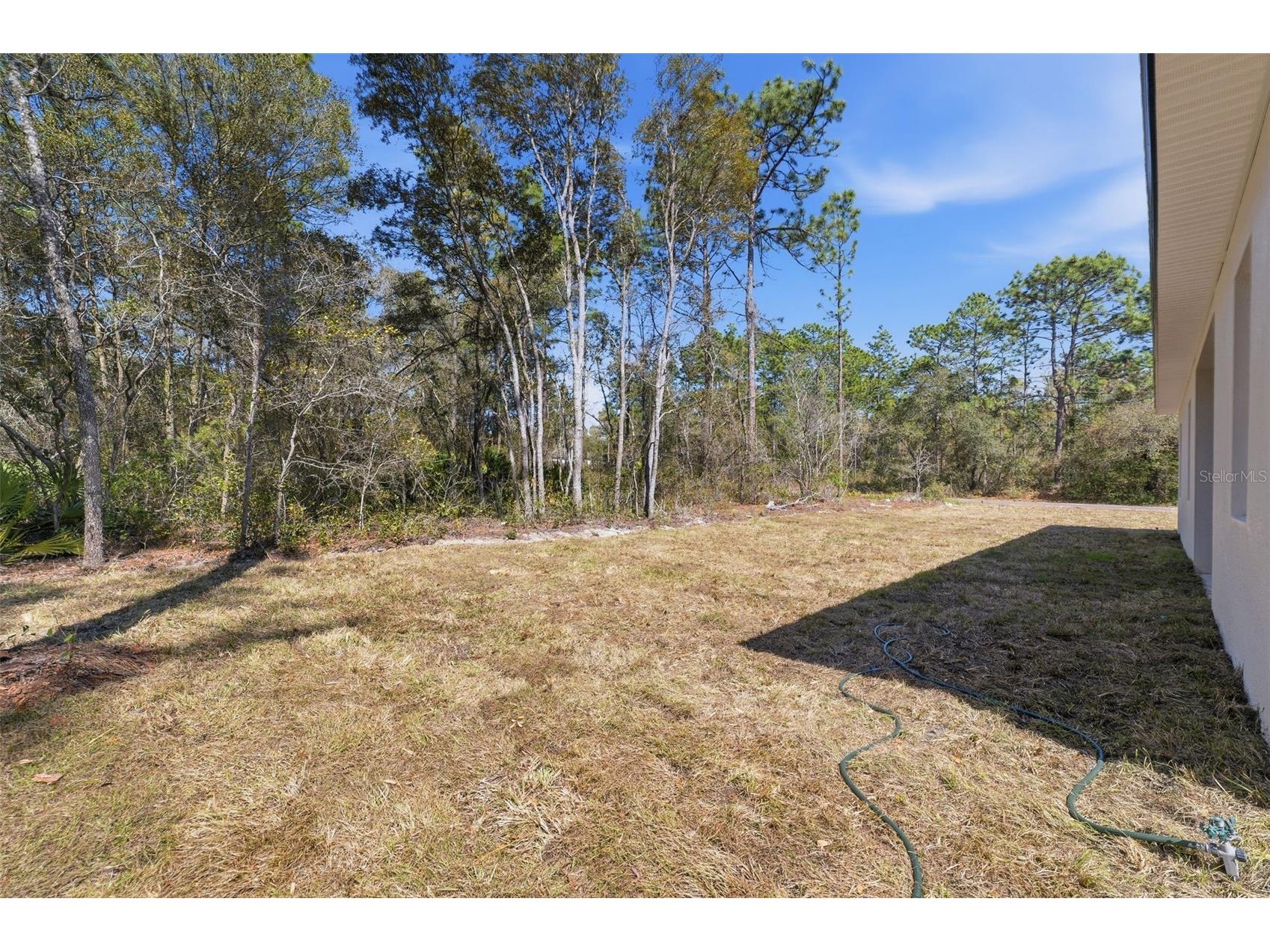 3737 W Capricorn Lane Citrus Springs FL 34433 O6393307 image38