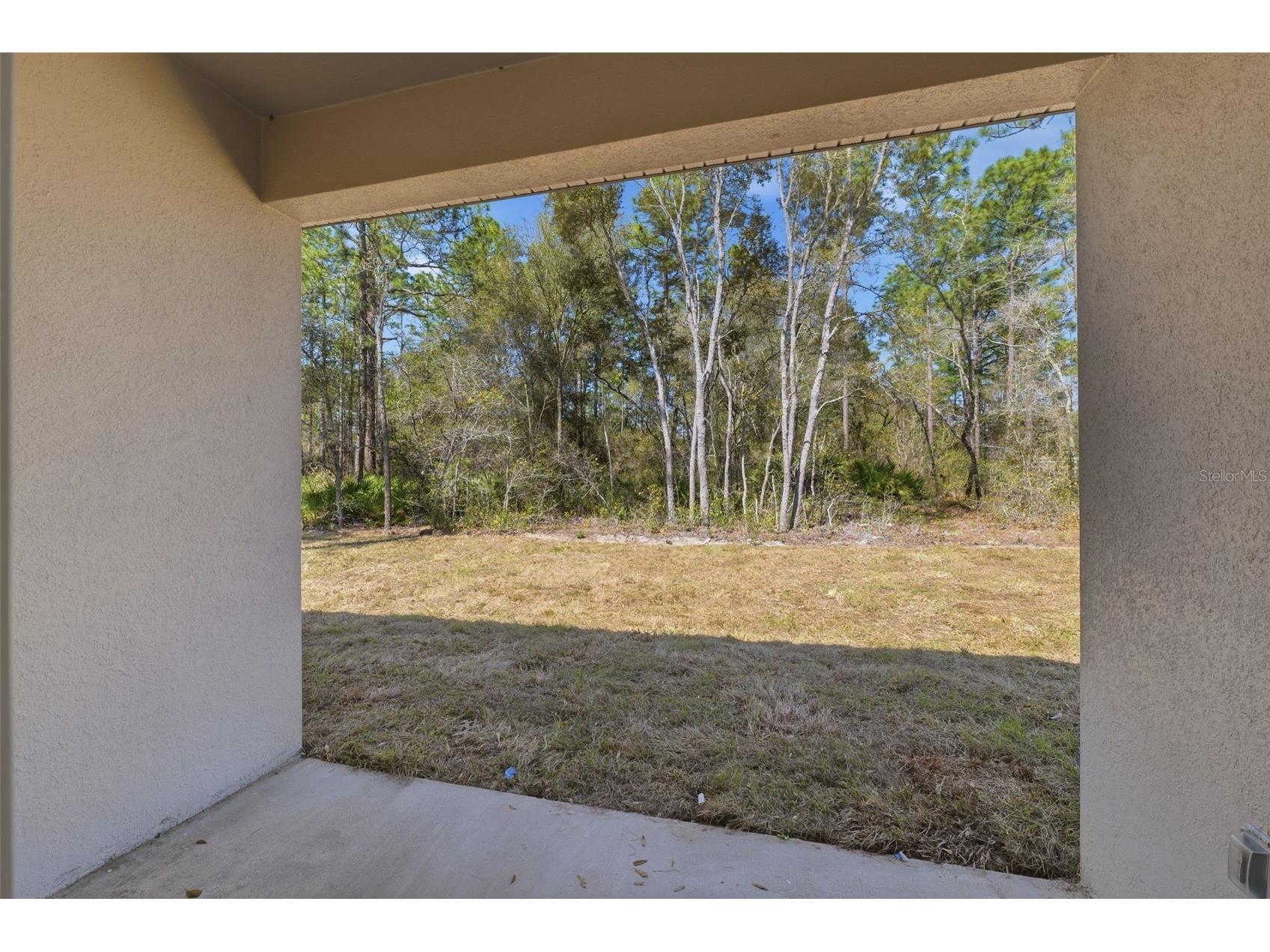 3737 W Capricorn Lane Citrus Springs FL 34433 O6393307 image39
