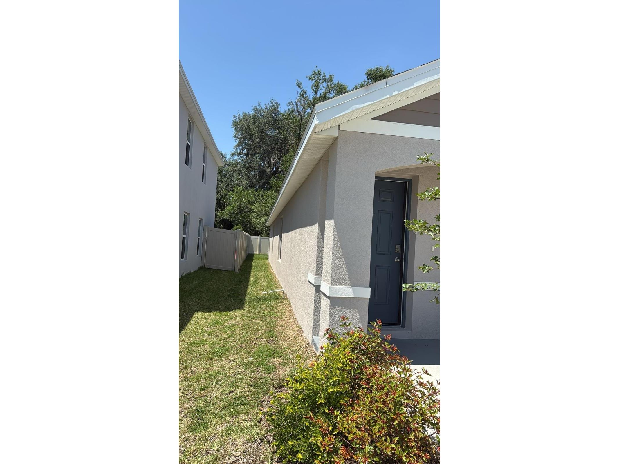 37373 Sharks Eye Lane Zephyrhills FL 33541 TB8517324 image6