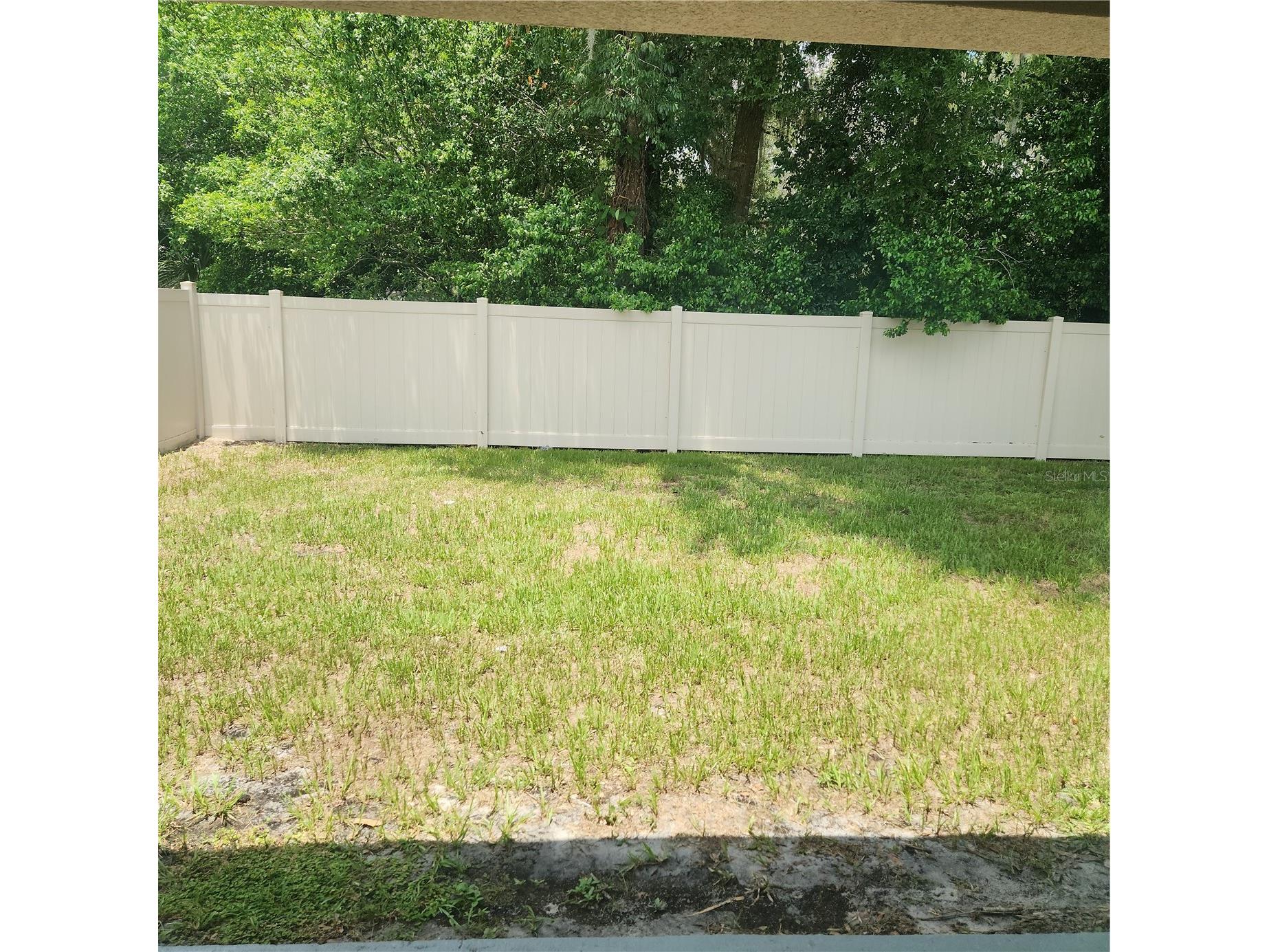 37373 Sharks Eye Lane Zephyrhills FL 33541 TB8517324 image9