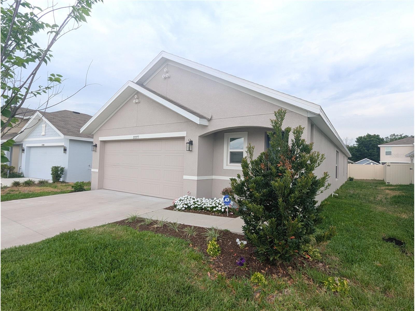 37377 Angel Wings Avenue Zephyrhills FL 33541 TB8507863 image1