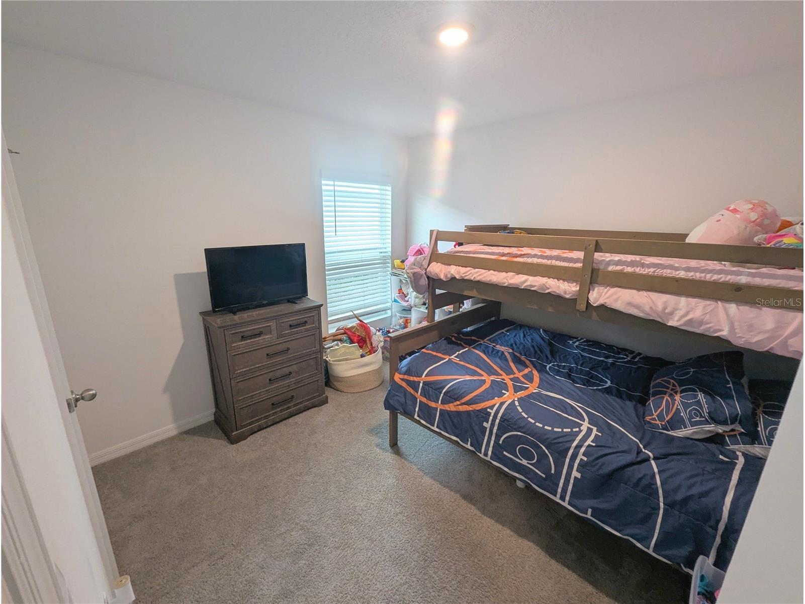 37377 Angel Wings Avenue Zephyrhills FL 33541 TB8507863 image19