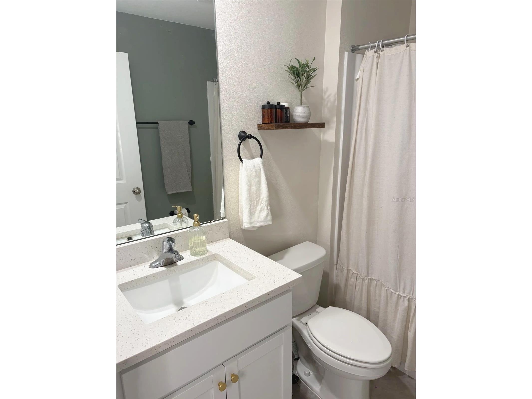 37377 Angel Wings Avenue Zephyrhills FL 33541 TB8507863 image21