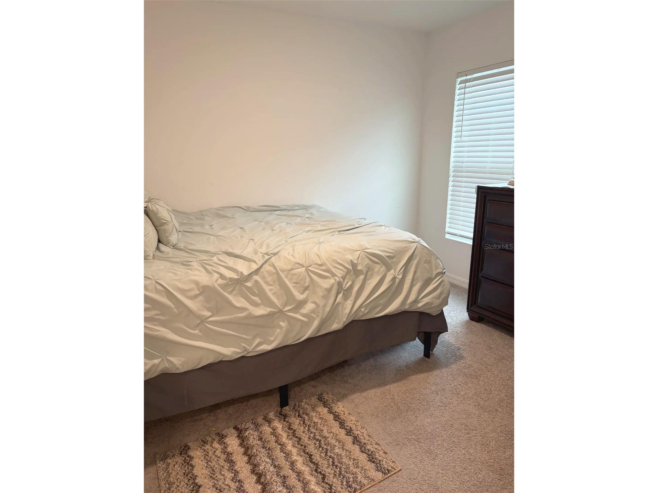 37377 Angel Wings Avenue Zephyrhills FL 33541 TB8507863 image24