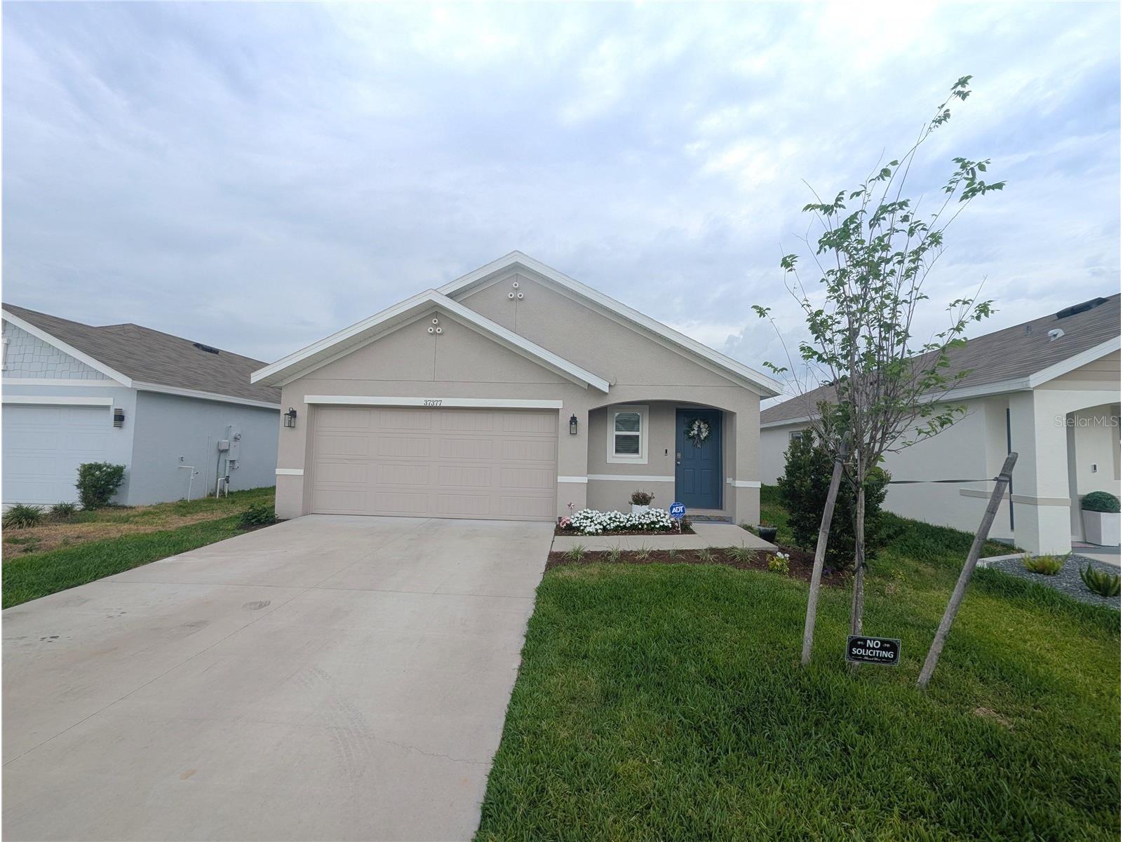 37377 Angel Wings Avenue Zephyrhills FL 33541 TB8507863 image3
