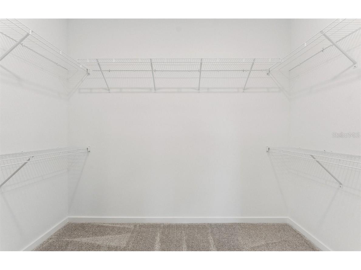 37380 Clinch Circle Zephyrhills FL 33540 TB8453877 image10