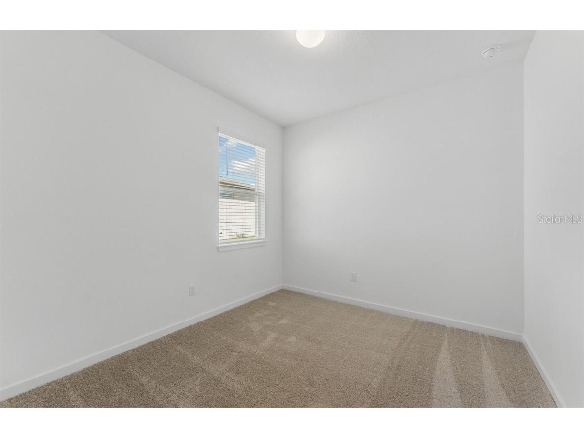 37380 Clinch Circle Zephyrhills FL 33540 TB8453877 image13