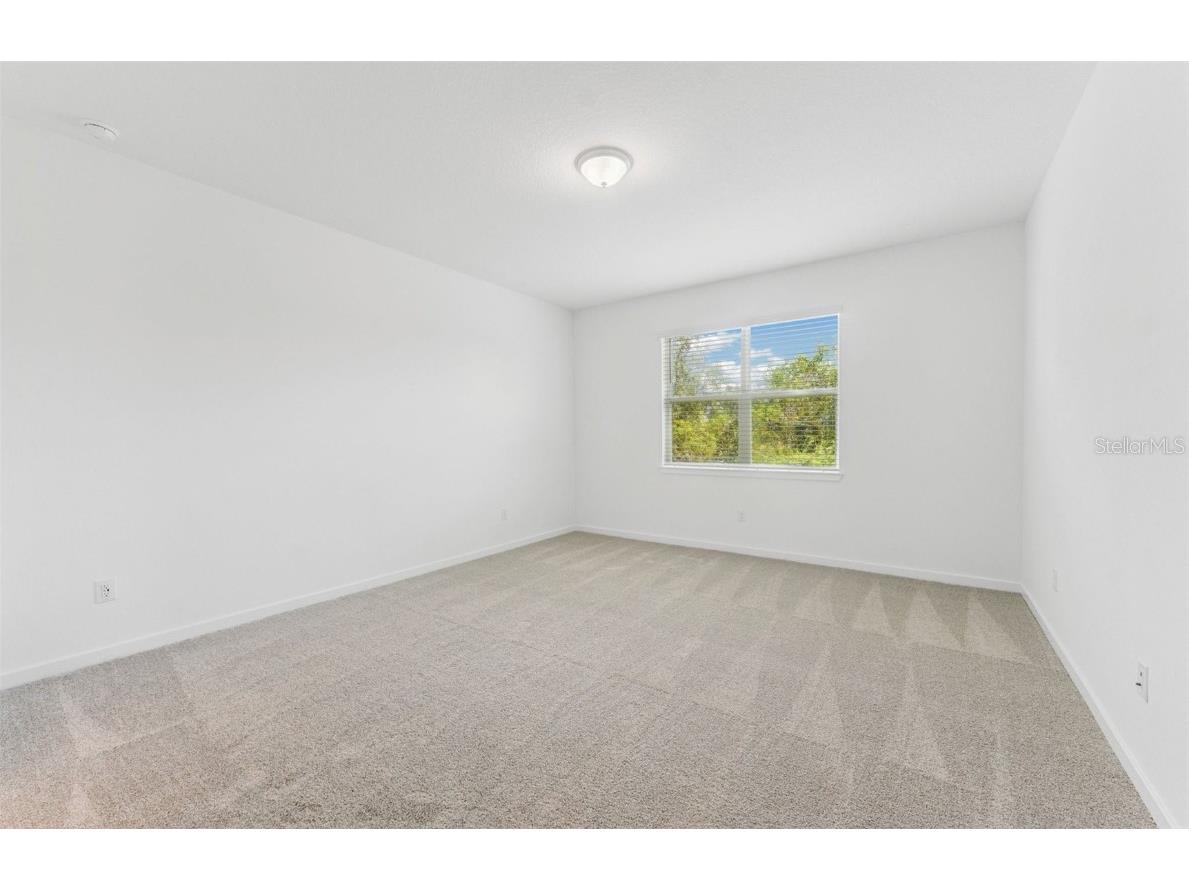 37380 Clinch Circle Zephyrhills FL 33540 TB8453877 image8