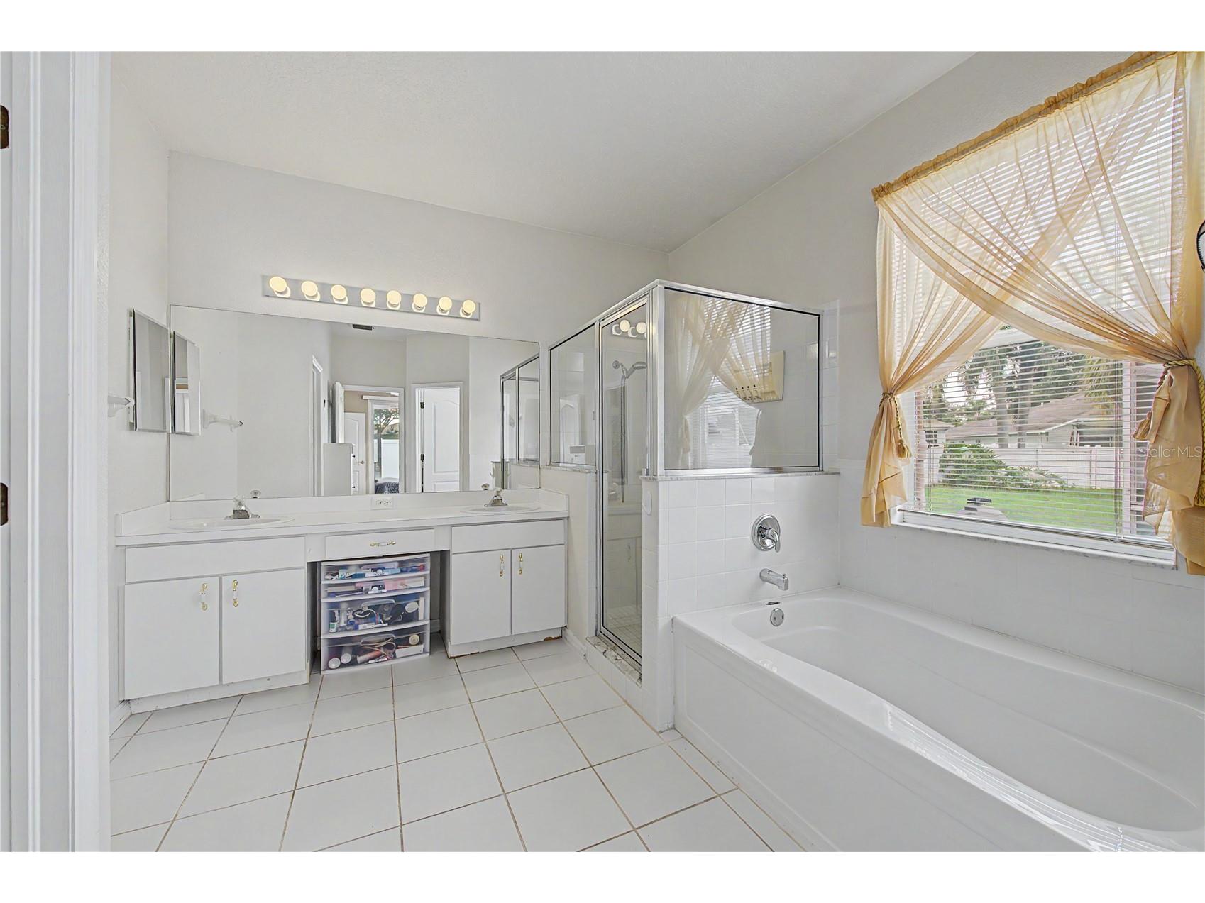 3739 Golden Eagle Drive Land O Lakes FL 34639 TB8526751 image24