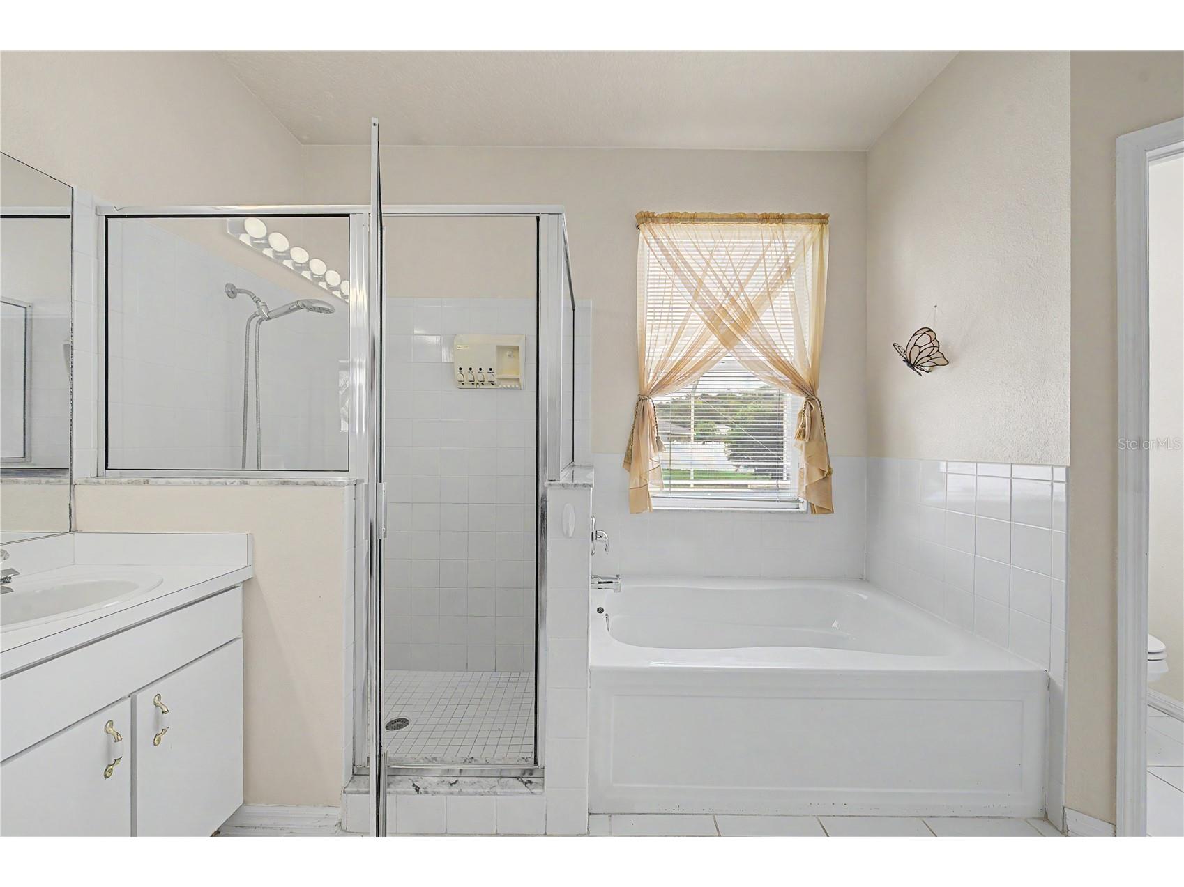 3739 Golden Eagle Drive Land O Lakes FL 34639 TB8526751 image25