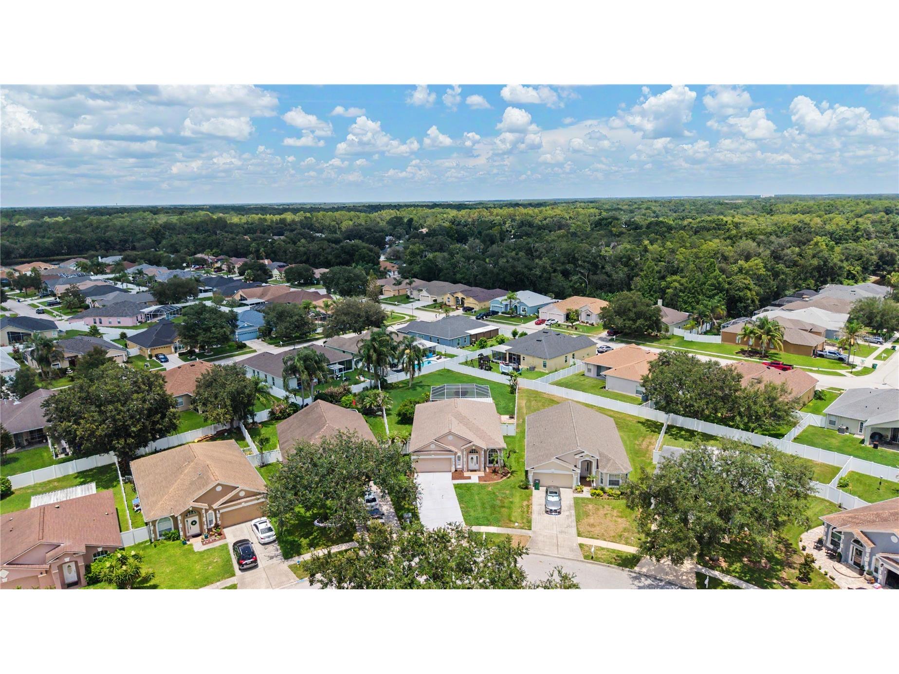 3739 Golden Eagle Drive Land O Lakes FL 34639 TB8526751 image39