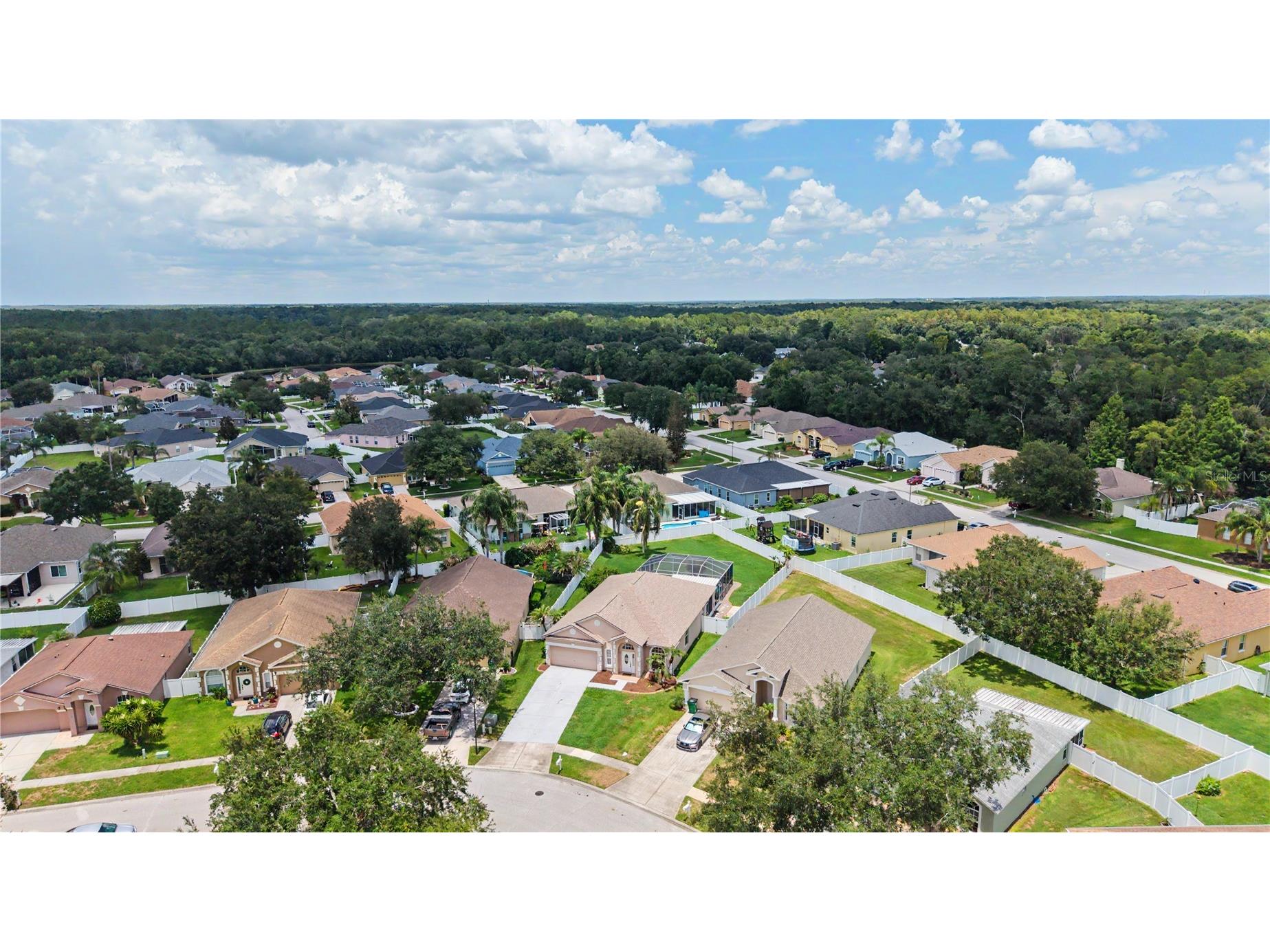 3739 Golden Eagle Drive Land O Lakes FL 34639 TB8526751 image40