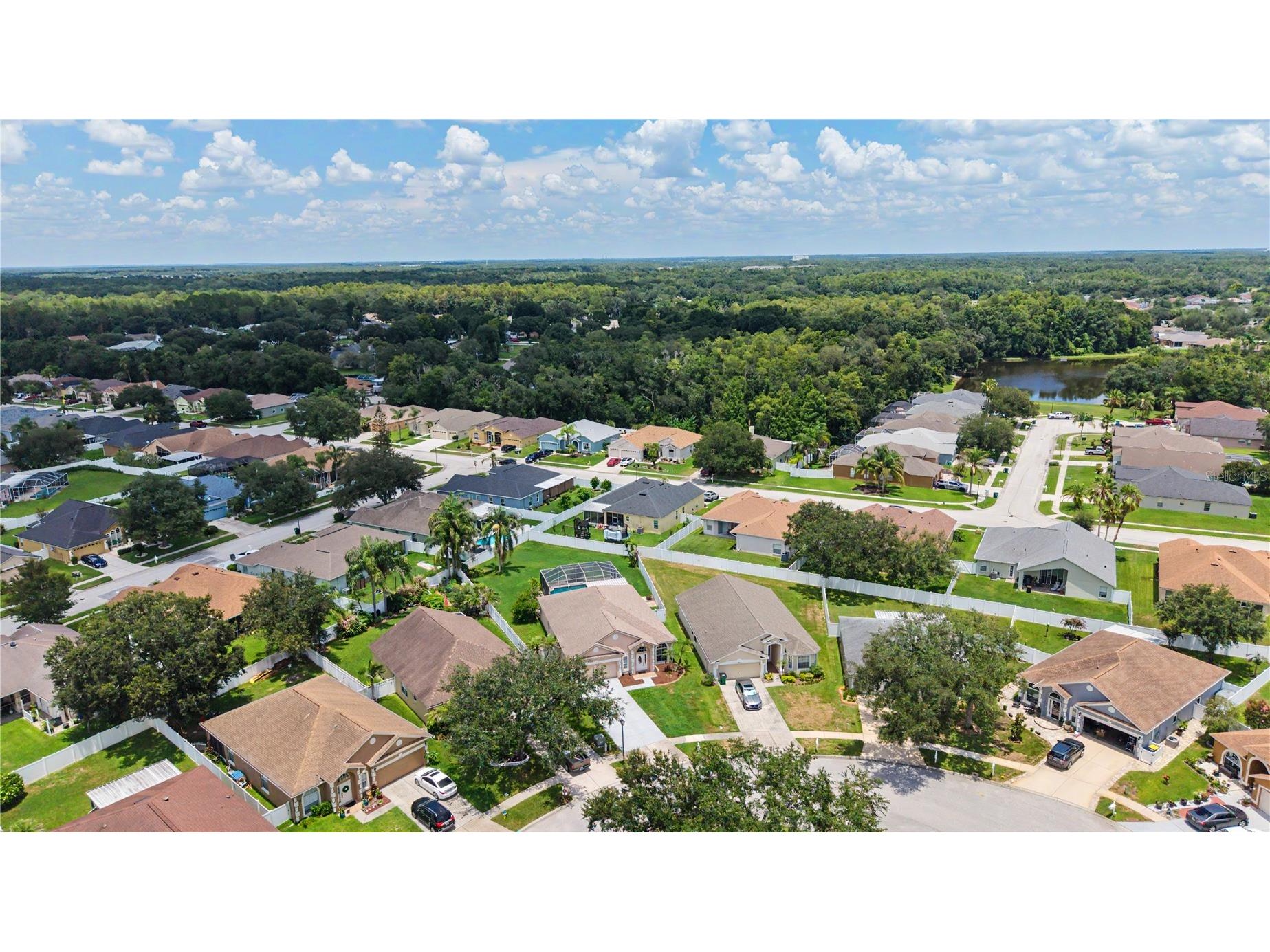 3739 Golden Eagle Drive Land O Lakes FL 34639 TB8526751 image41