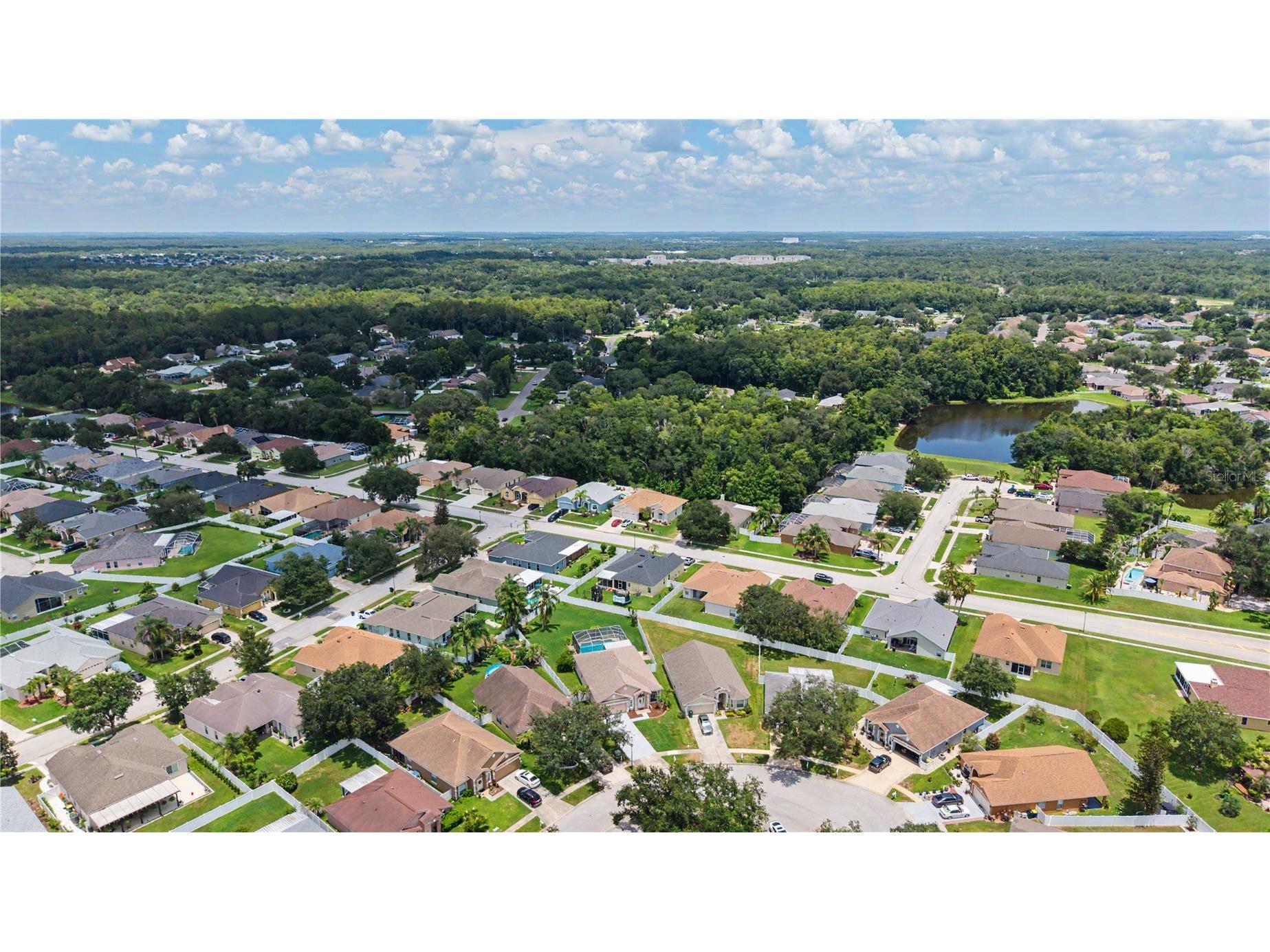 3739 Golden Eagle Drive Land O Lakes FL 34639 TB8526751 image42