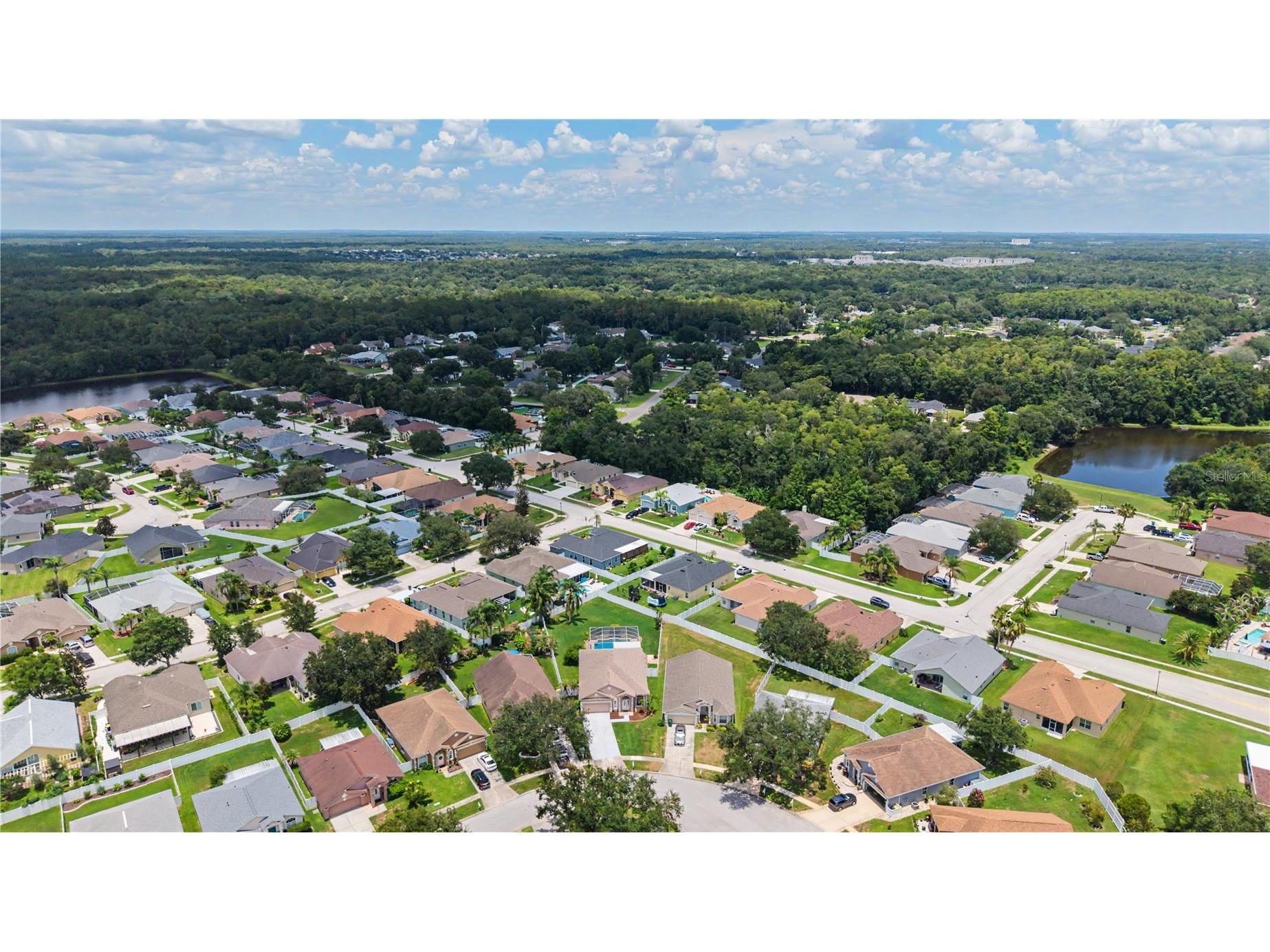 3739 Golden Eagle Drive Land O Lakes FL 34639 TB8526751 image43