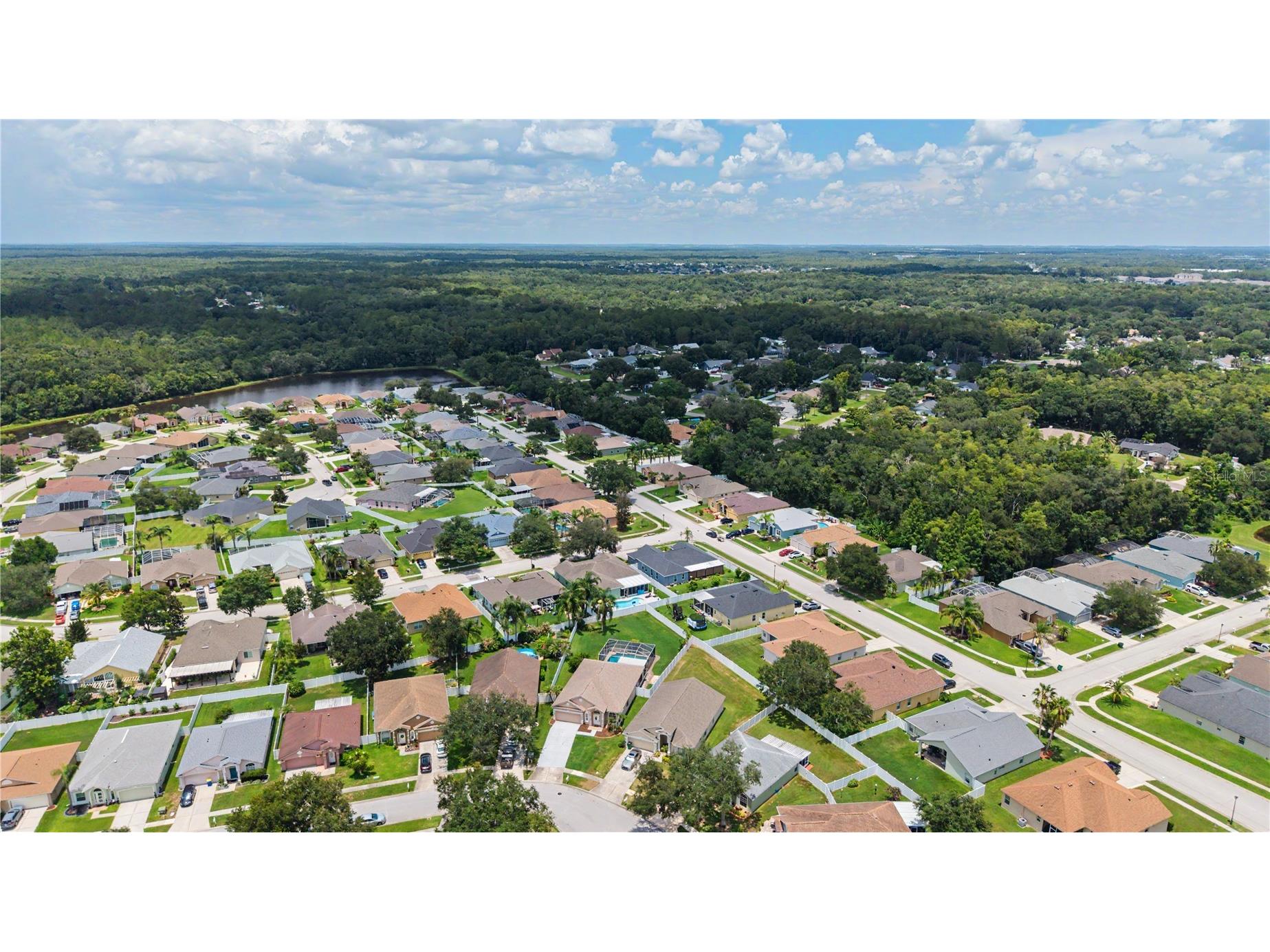 3739 Golden Eagle Drive Land O Lakes FL 34639 TB8526751 image44
