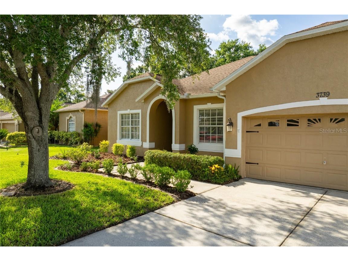 3739 Grand Forks Drive Land O Lakes FL 34639 TB8403625 image1