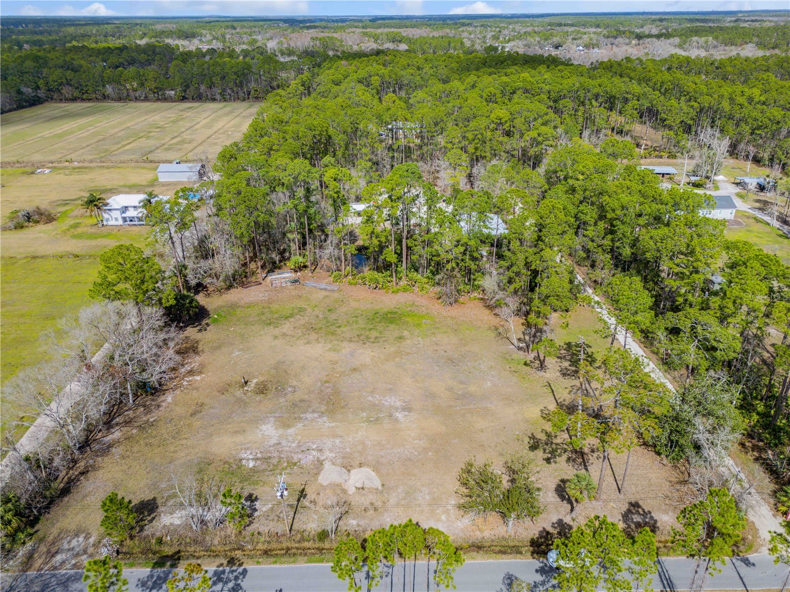 3739 Honeydew Lane New Smyrna Beach FL 32168 NS1087434 image1