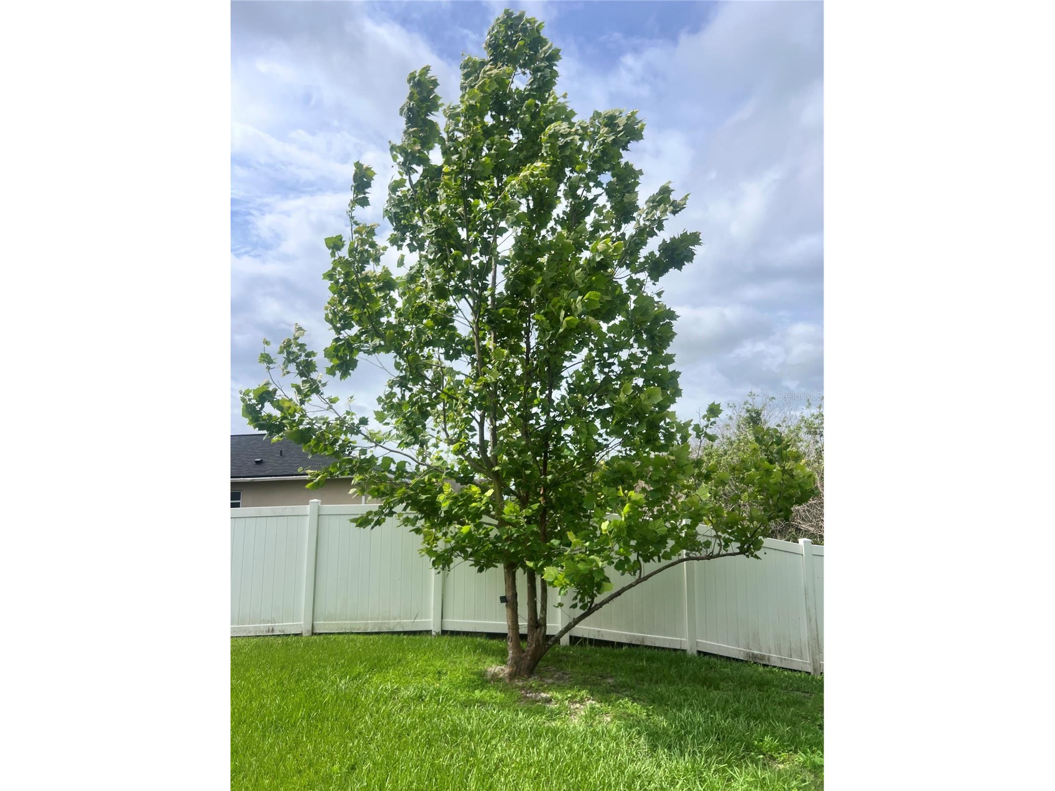 3739 Ricky Lane Saint Cloud FL 34772 S5151137 image38